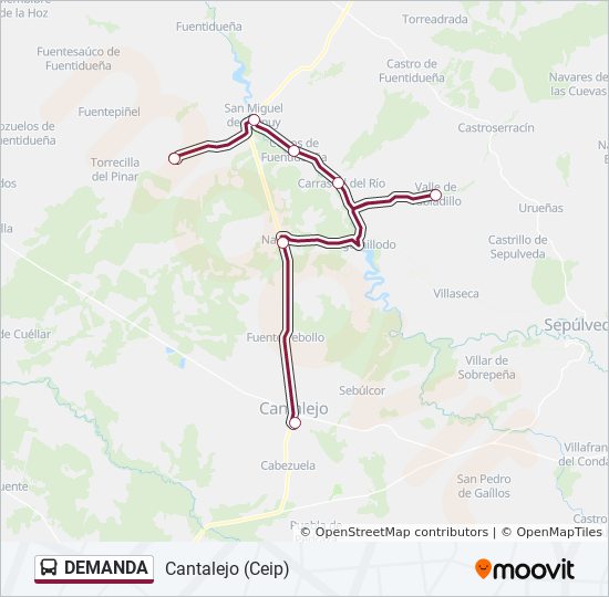 DEMANDA bus Line Map