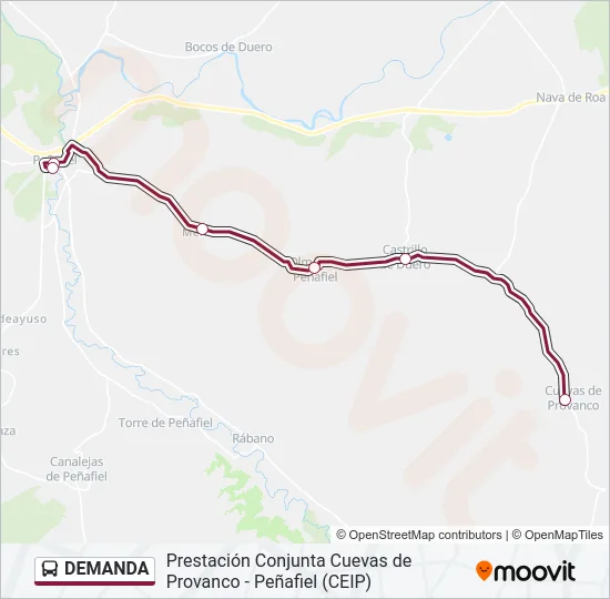 DEMANDA Bus Line Map