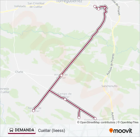 DEMANDA Bus Line Map