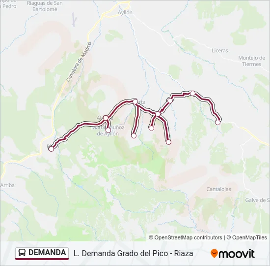 DEMANDA Bus Line Map