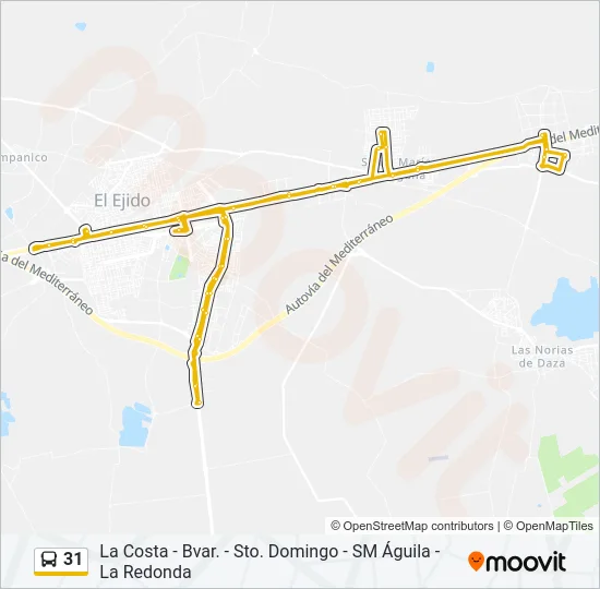 31 Bus Line Map