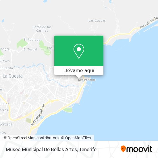Mapa Museo Municipal De Bellas Artes