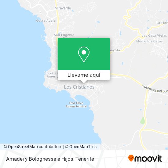 Mapa Amadei y Bolognesse e Hijos