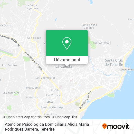 Mapa Atencion Psicologica Domiciliaria Alicia Maria Rodriguez Barrera