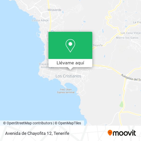 Mapa Avenida de Chayofita 12