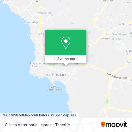 Mapa Clínica Veterinaria Lejarazu