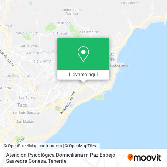 Mapa Atencion Psicológica Domiciliaria m Paz Espejo-Saavedra Conesa