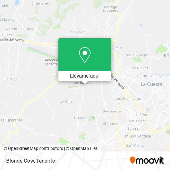 Mapa Blonde Cow