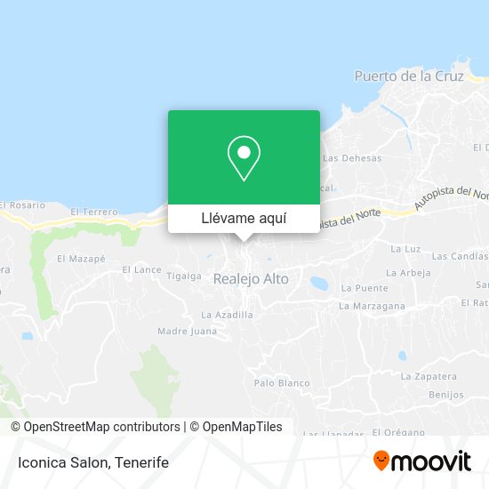 Mapa Iconica Salon