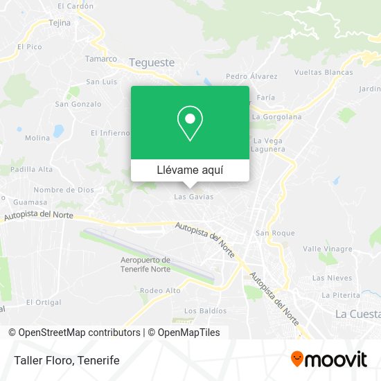 Mapa Taller Floro