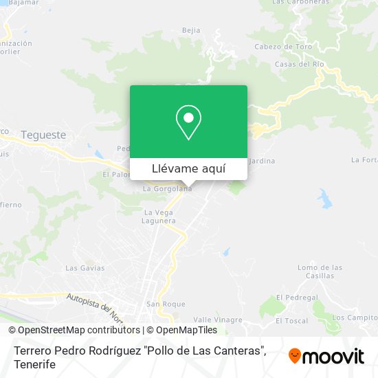 Mapa Terrero Pedro Rodríguez "Pollo de Las Canteras"