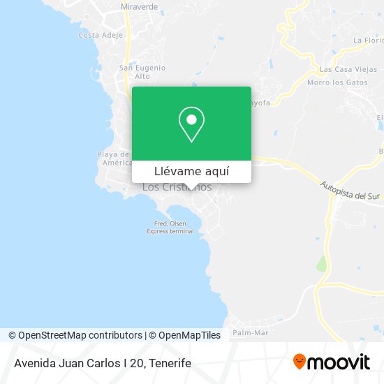 Mapa Avenida Juan Carlos I 20