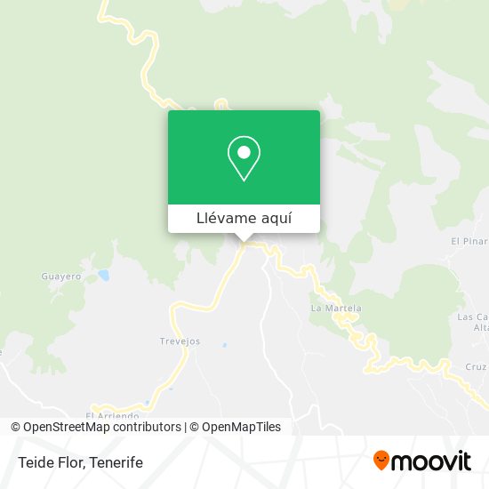 Mapa Teide Flor