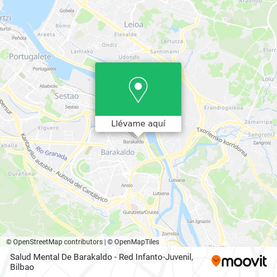 Mapa Salud Mental De Barakaldo - Red Infanto-Juvenil