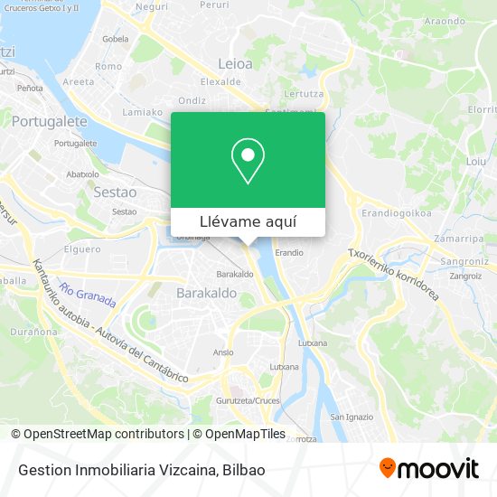 Mapa Gestion Inmobiliaria Vizcaina