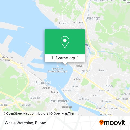Mapa Whale Watching