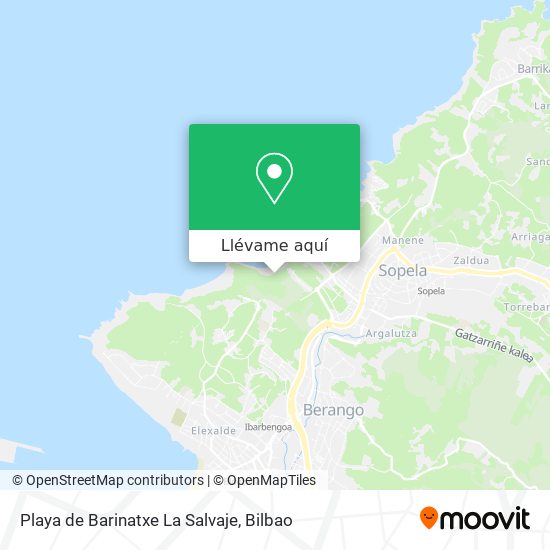 Mapa Playa de Barinatxe La Salvaje