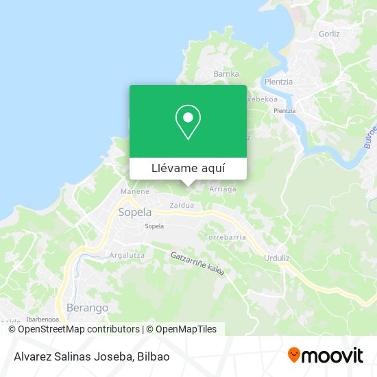 Mapa Alvarez Salinas Joseba