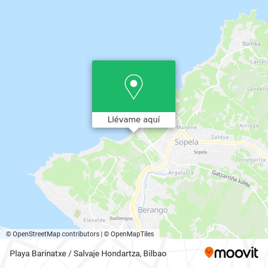 Mapa Playa Barinatxe / Salvaje Hondartza