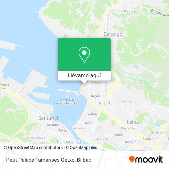 Mapa Petit Palace Tamarises Getxo