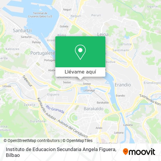 Mapa Instituto de Educacion Secundaria Angela Figuera