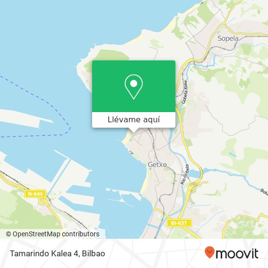 Mapa Tamarindo Kalea 4
