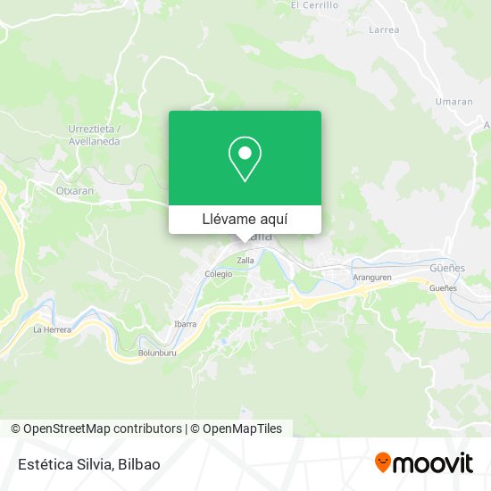 Mapa Estética Silvia