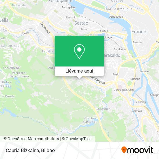 Mapa Cauria Bizkaina