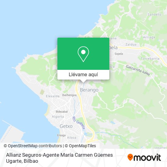 Mapa Allianz Seguros-Agente María Carmen Güemes Ugarte
