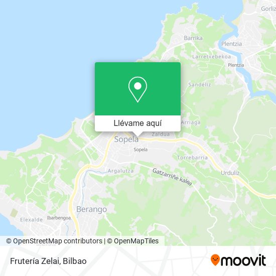 Mapa Frutería Zelai