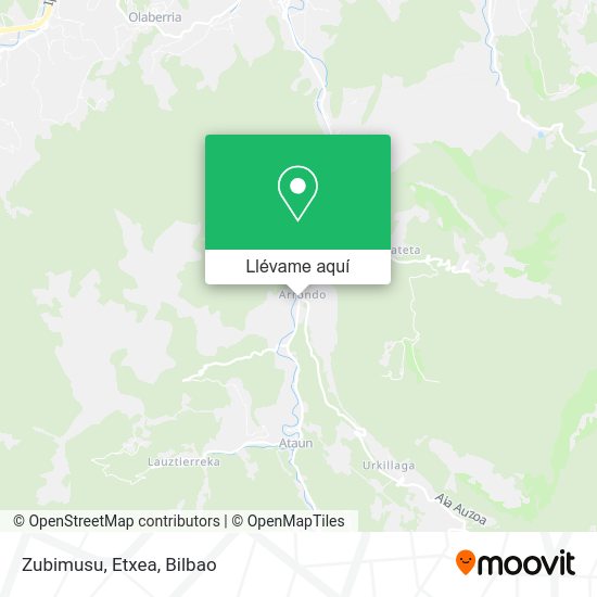Mapa Zubimusu, Etxea