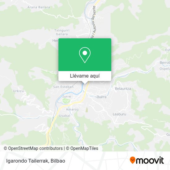 Mapa Igarondo Tailerrak