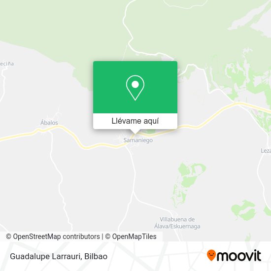 Mapa Guadalupe Larrauri