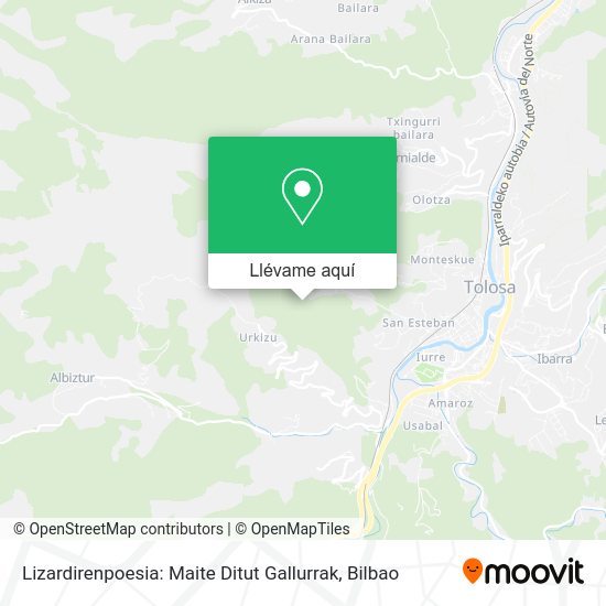 Mapa Lizardirenpoesia: Maite Ditut Gallurrak