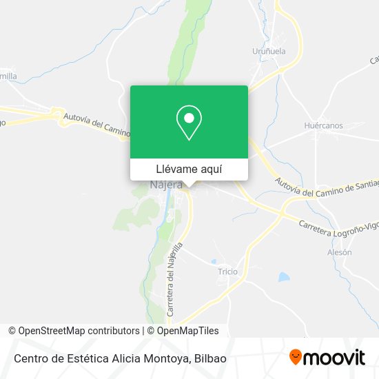 Mapa Centro de Estética Alicia Montoya