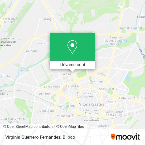 Mapa Virginia Guerrero Fernández