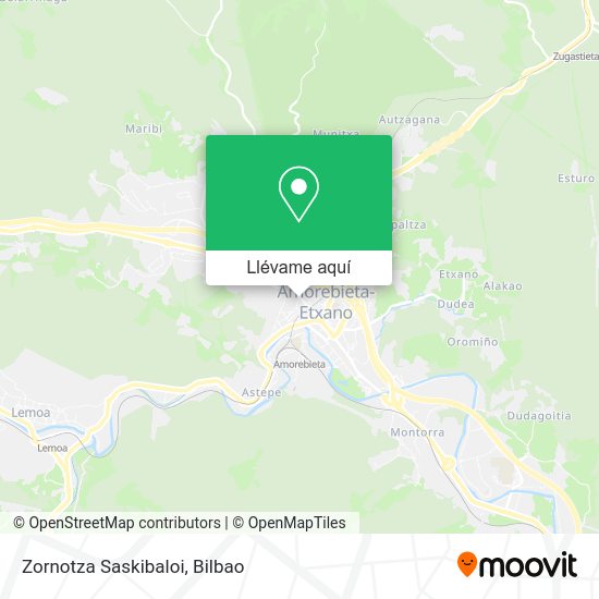 Mapa Zornotza Saskibaloi