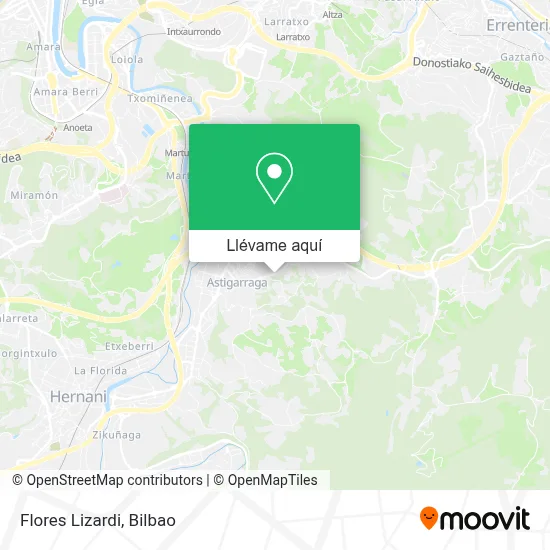 Mapa Flores Lizardi