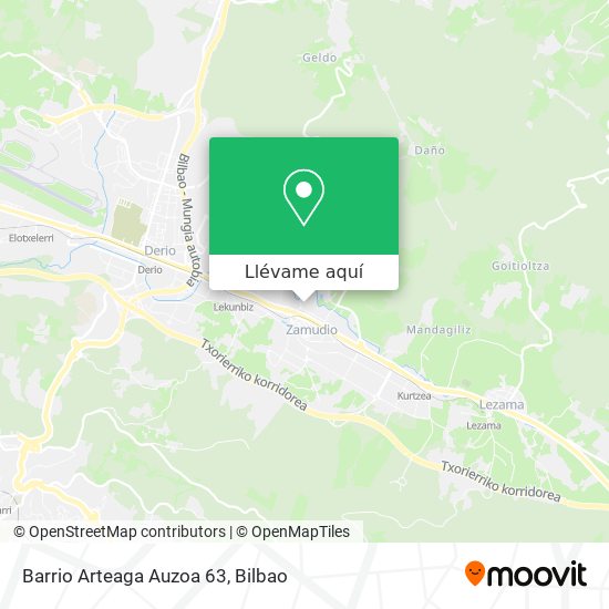Mapa Barrio Arteaga Auzoa 63