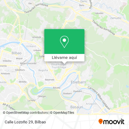 Mapa Calle Lozoño 29