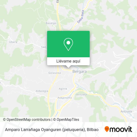 Mapa Amparo Larrañaga Oyanguren (peluqueria)