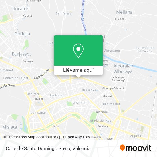 Mapa Calle de Santo Domingo Savio