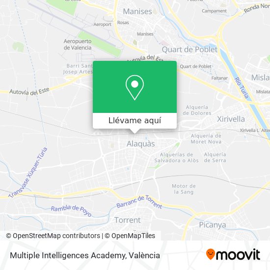 Mapa Multiple Intelligences Academy