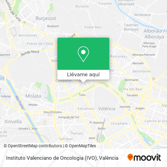 Mapa Instituto Valenciano de Oncologia (IVO)
