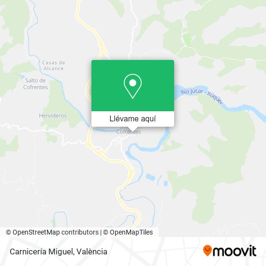Mapa Carnicería Miguel