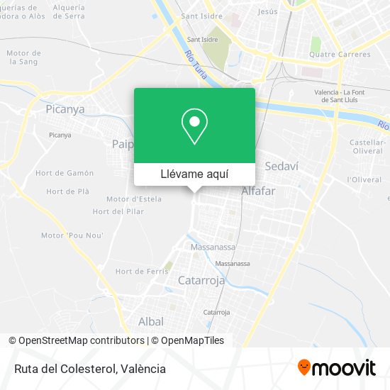 Mapa Ruta del Colesterol