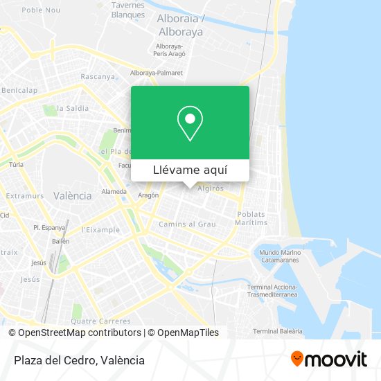 Mapa Plaza del Cedro