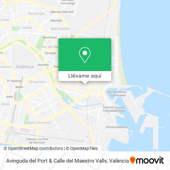 Mapa Avinguda del Port & Calle del Maestro Valls