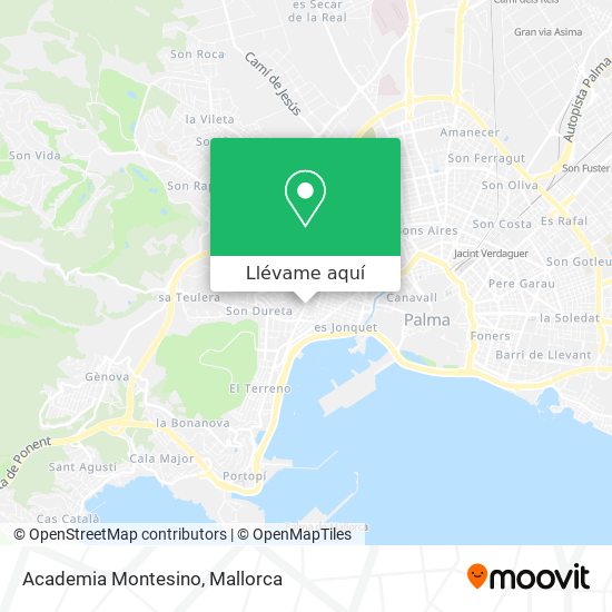 Mapa Academia Montesino