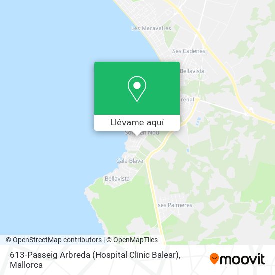 Mapa 613-Passeig Arbreda (Hospital Clínic Balear)